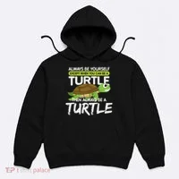 Always Be Yourself Except You Can Be Turtle Funny Hoodie thumb 0