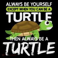 Always Be Yourself Except You Can Be Turtle Funny Sweatshirt thumb 3