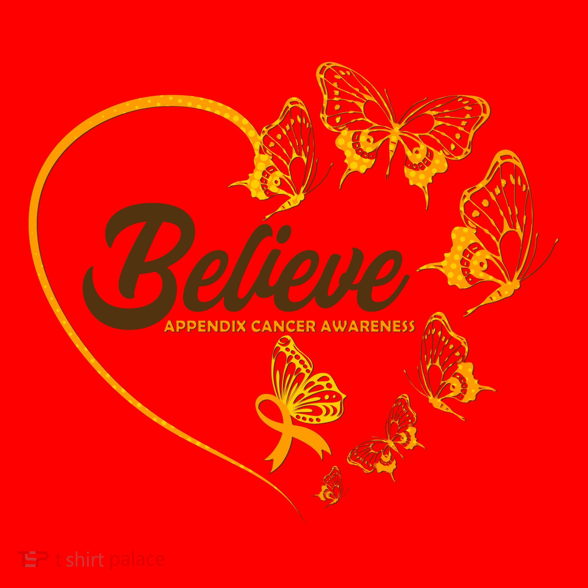 Appendix Cancer Awareness Believe Butterfly Heart Santa Hat