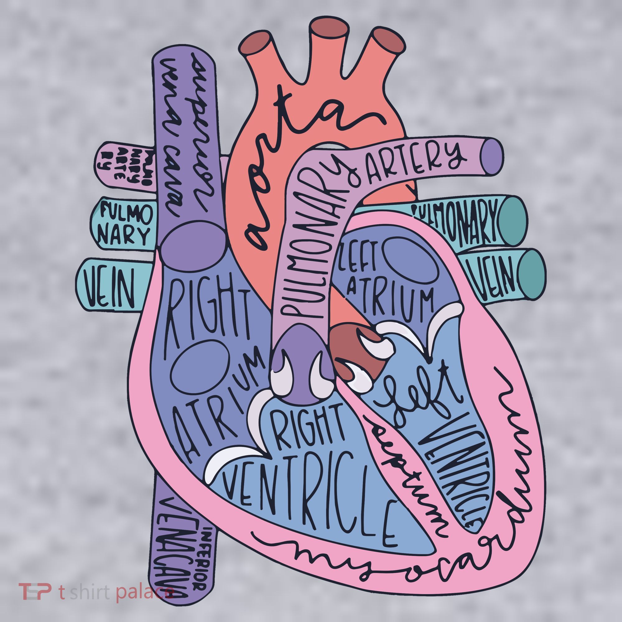 Anatomy Cardiologist Anatomical Heart Women's Sweatshirt