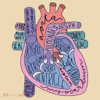 Anatomy Cardiologist Anatomical Heart Tote Bag thumb 4
