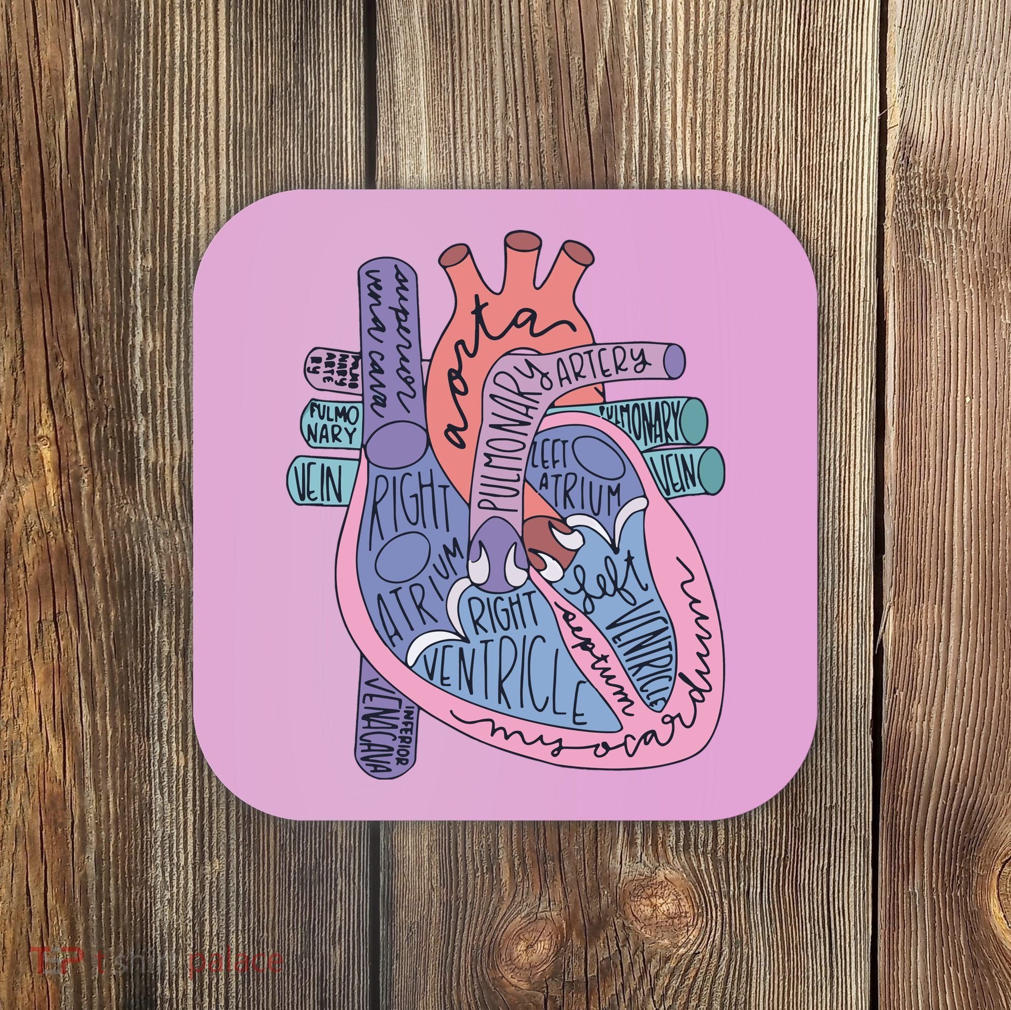Anatomy Cardiologist Anatomical Heart Coaster
