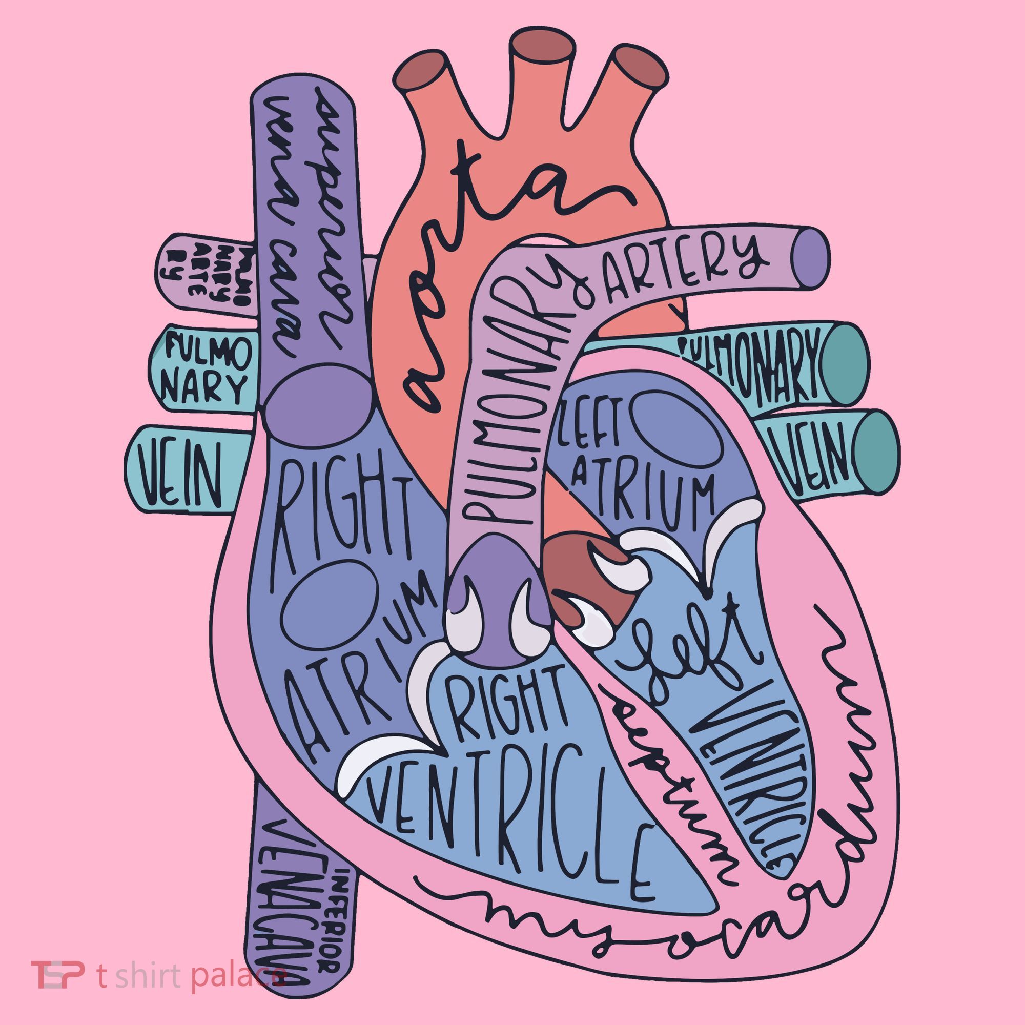 Anatomy Cardiologist Anatomical Heart Coaster