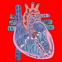 Anatomy Cardiologist Anatomical Heart Santa Hat thumb 1