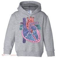 Anatomy Cardiologist Anatomical Heart Toddler Hoodie thumb 0