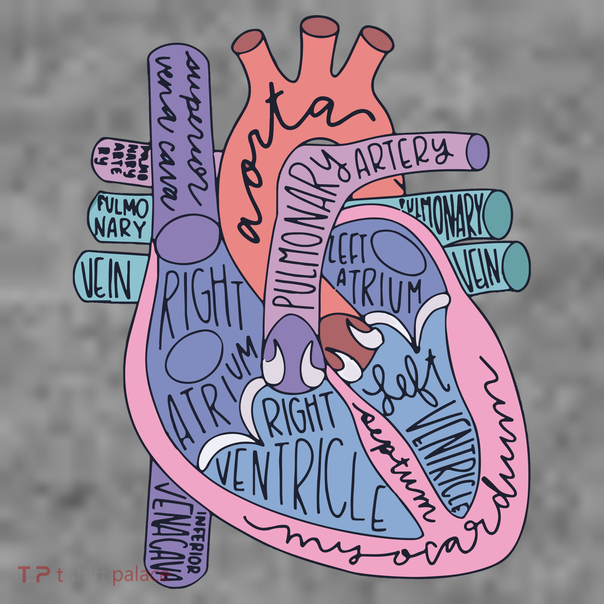 Anatomy Cardiologist Anatomical Heart Toddler Hoodie
