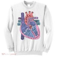Anatomy Cardiologist Anatomical Heart Sweatshirt thumb 0