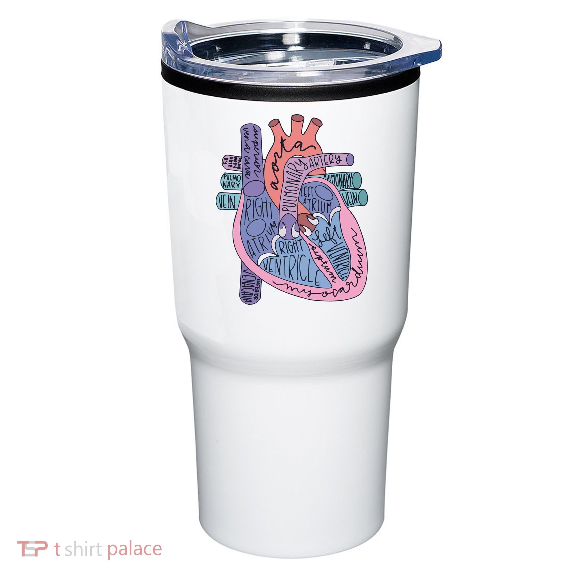 Anatomy Cardiologist Anatomical Heart Tumbler