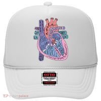 Anatomy Cardiologist Anatomical Heart Hat thumb 0