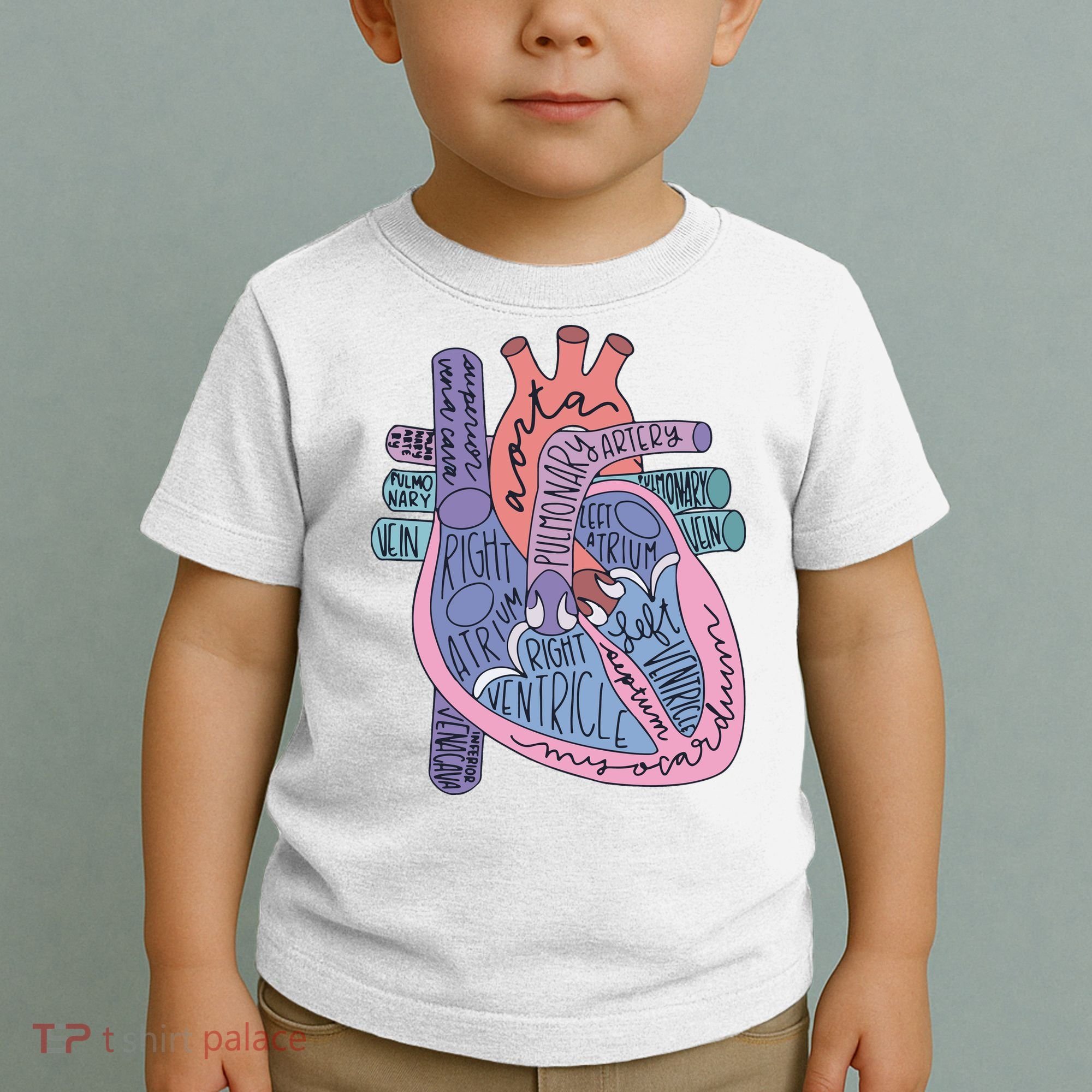 Anatomy Cardiologist Anatomical Heart Toddler T-Shirt