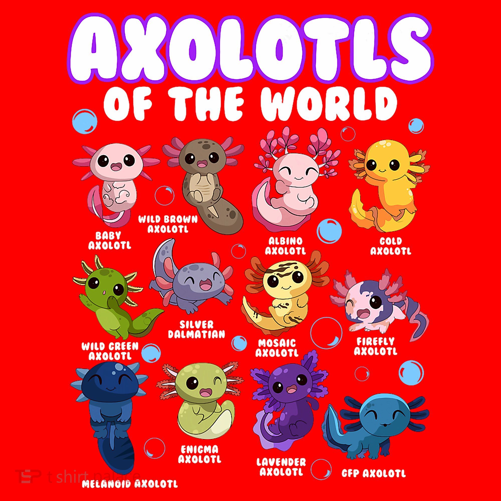 Axolotl Cute Axolotls Animals Of The World Herpetology 2 Santa Hat