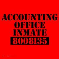 Accountant Costume Accounting Office Inmate Costume Santa Hat thumb 1