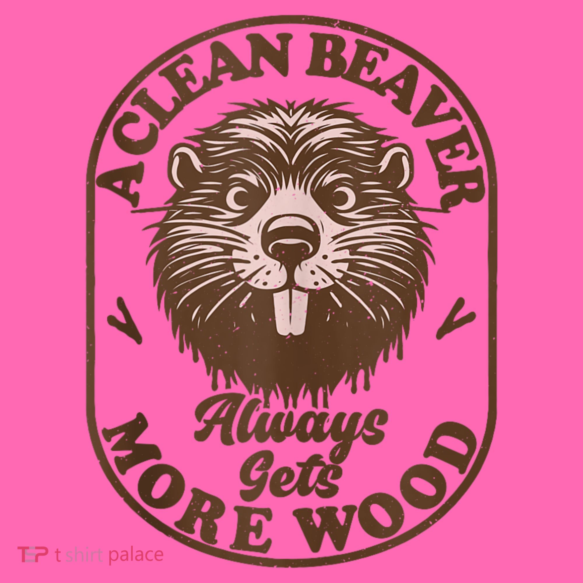 A Clean Beaver Always Gets More Wood Graphic Funny Raunchy Stripe Pom Pom Beanie