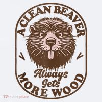 A Clean Beaver Always Gets More Wood Graphic Funny Raunchy Sueded Cloud Jersey T-Shirt thumb 2