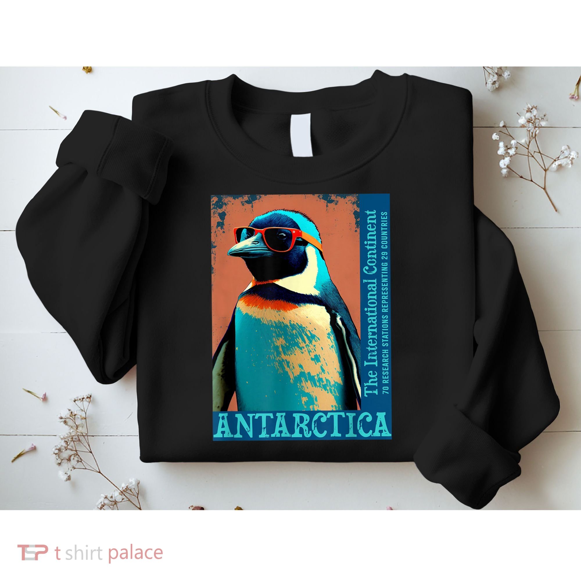 Antarctica Cute Cool Penguin Antarctic Research Souvenir Sweatshirt