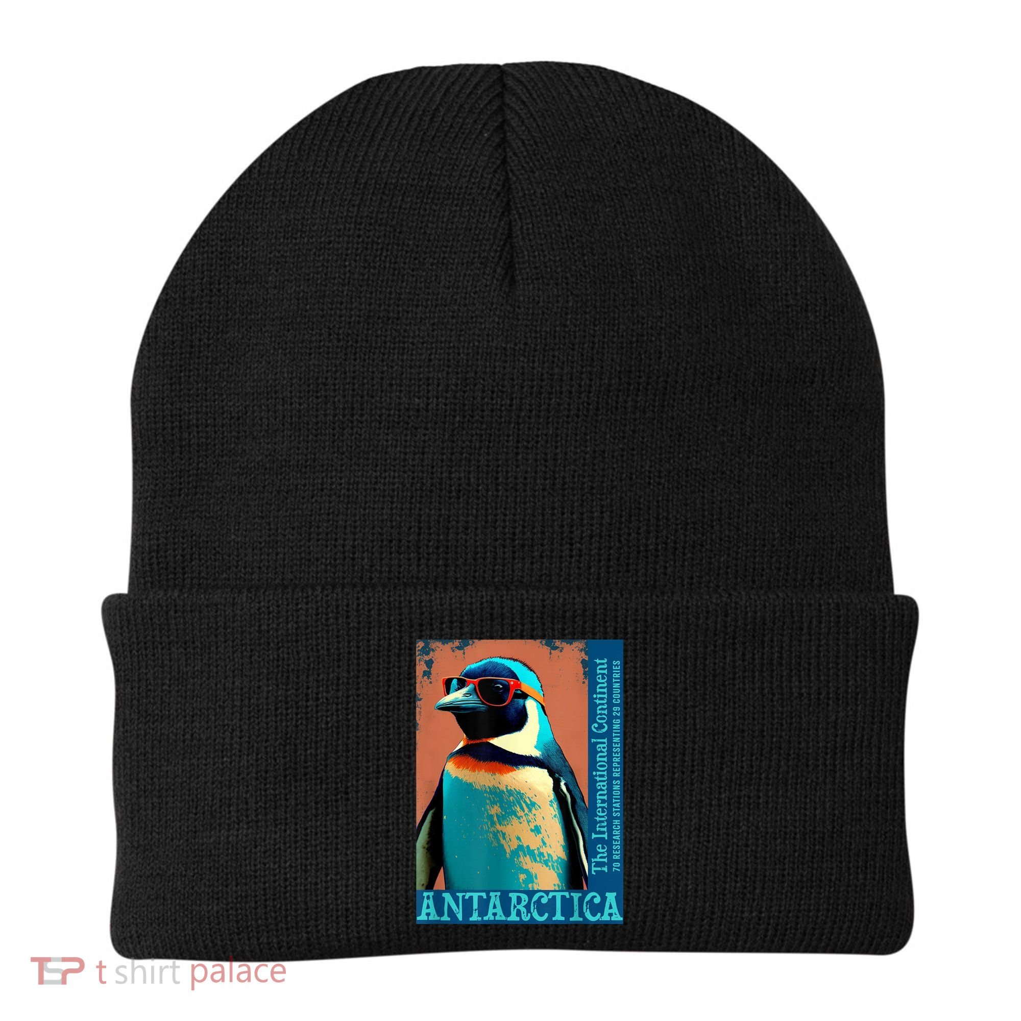 Antarctica Cute Cool Penguin Antarctic Research Souvenir Beanie