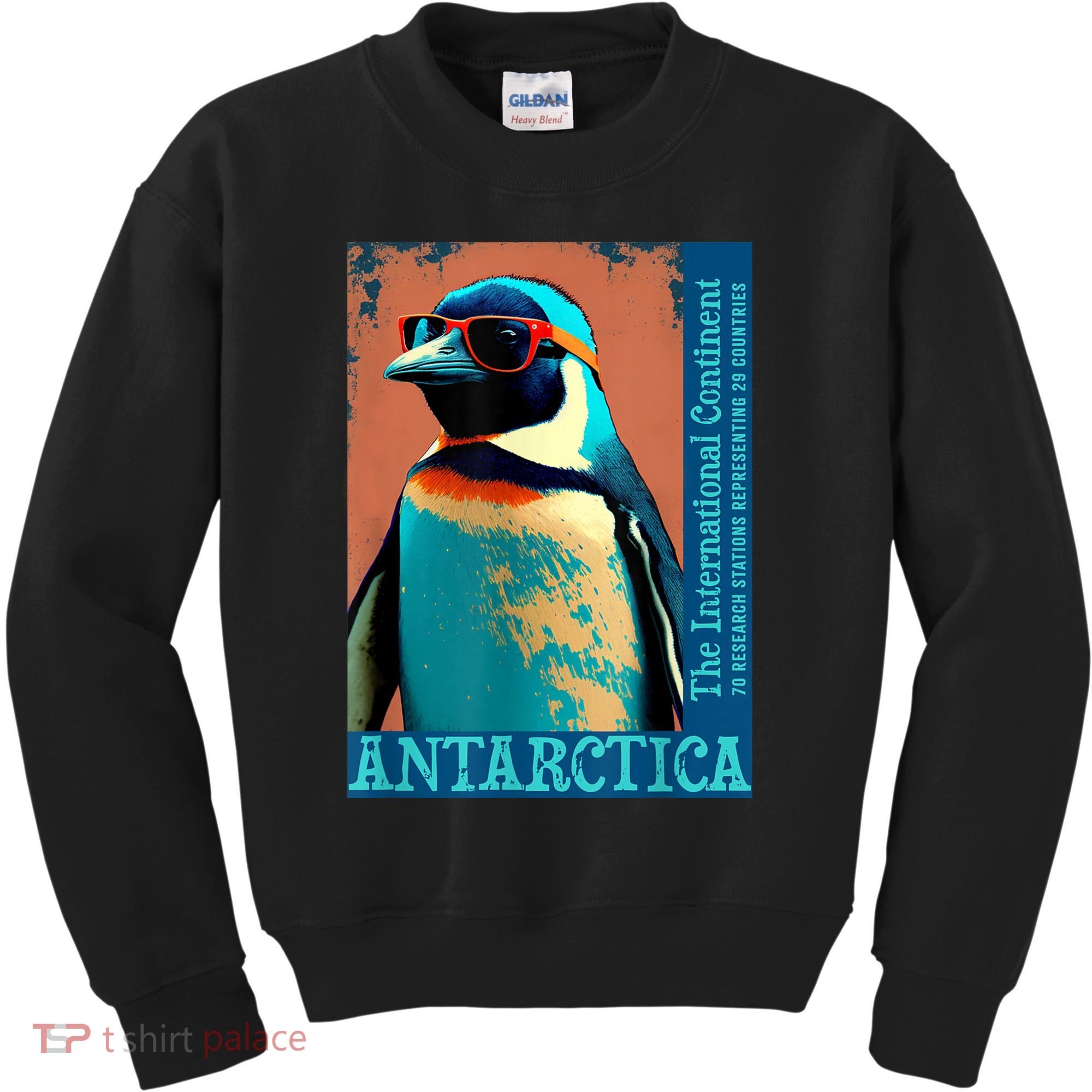 Antarctica Cute Cool Penguin Antarctic Research Souvenir Kids Sweatshirt