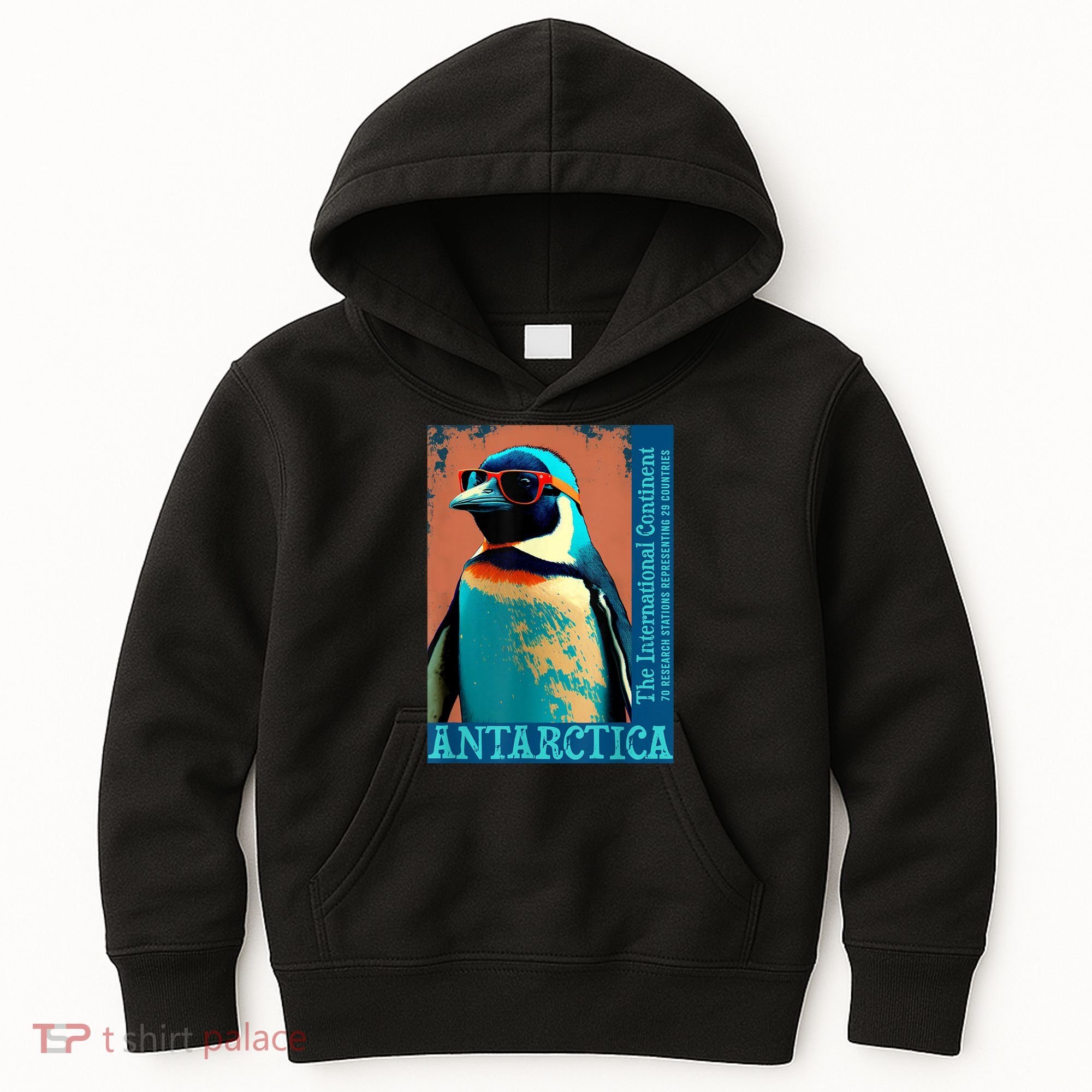 Antarctica Cute Cool Penguin Antarctic Research Souvenir Kids Hoodie