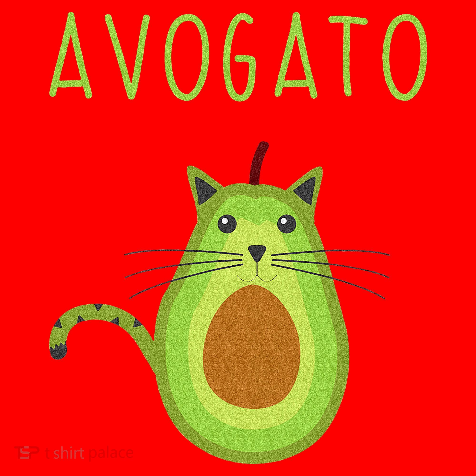 Avogato Cinco De Mayo Gift Cinco De Meow Cat Avocado Santa Hat