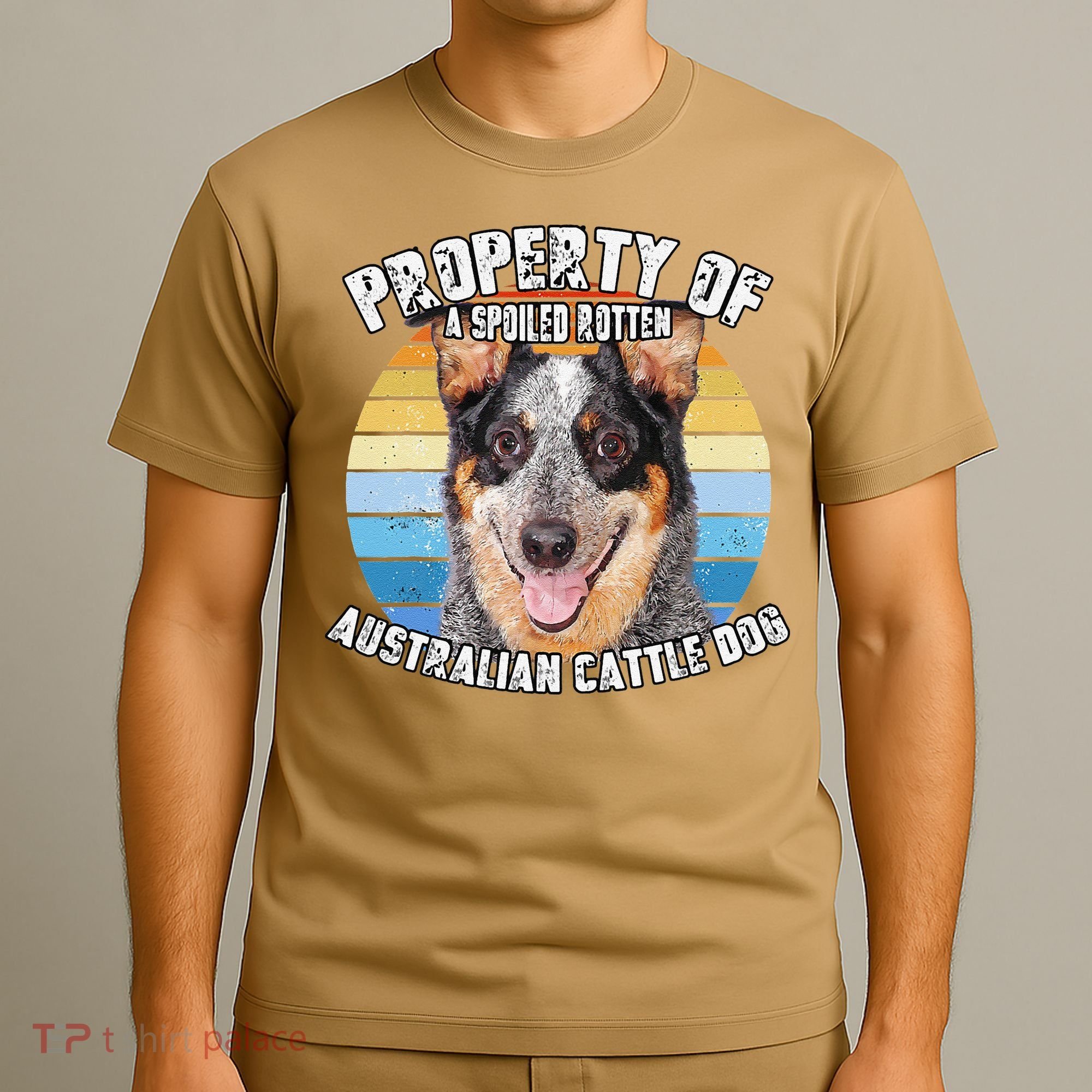 Australian Cattle Dog Blue Retro Property Of Cute Dog T-Shirt