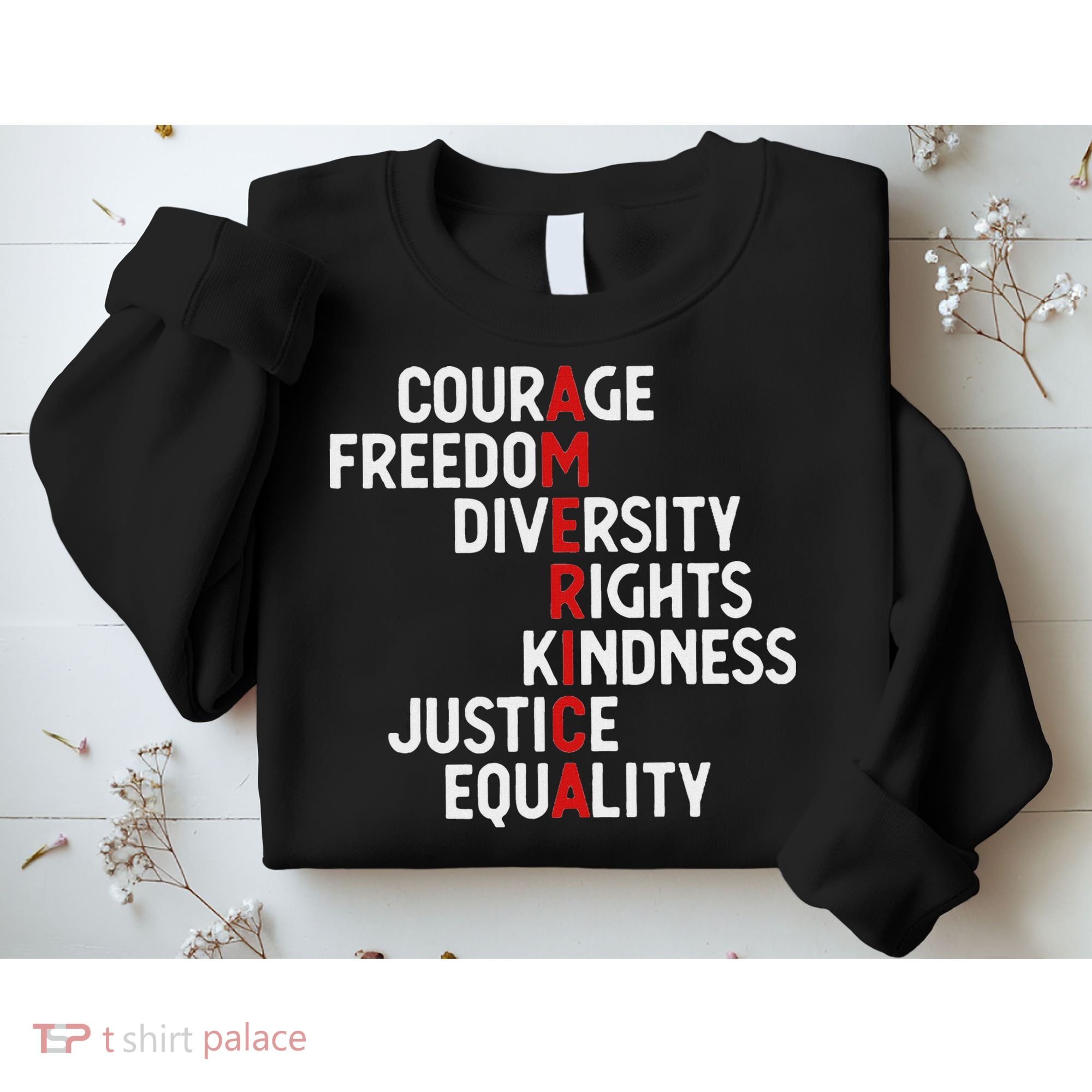 America Courage Freedom Diversity Rights Friendship Justice Sweatshirt