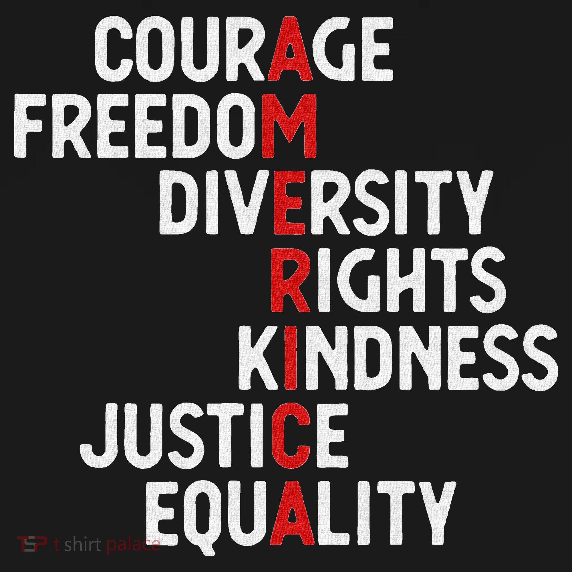 America Courage Freedom Diversity Rights Friendship Justice Sweatshirt