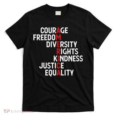 America Courage Freedom Diversity Rights Friendship Justice T-Shirt