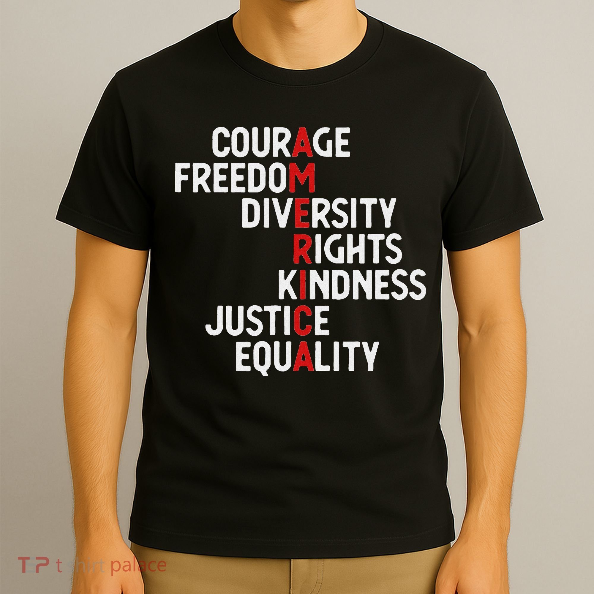 America Courage Freedom Diversity Rights Friendship Justice T-Shirt