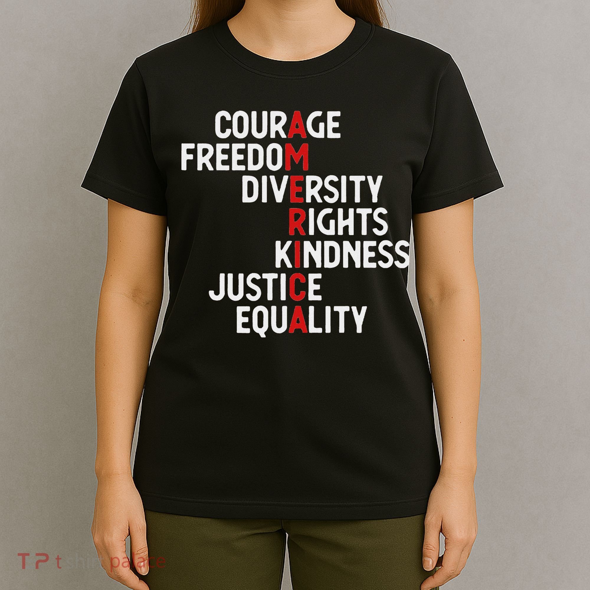 America Courage Freedom Diversity Rights Friendship Justice T-Shirt