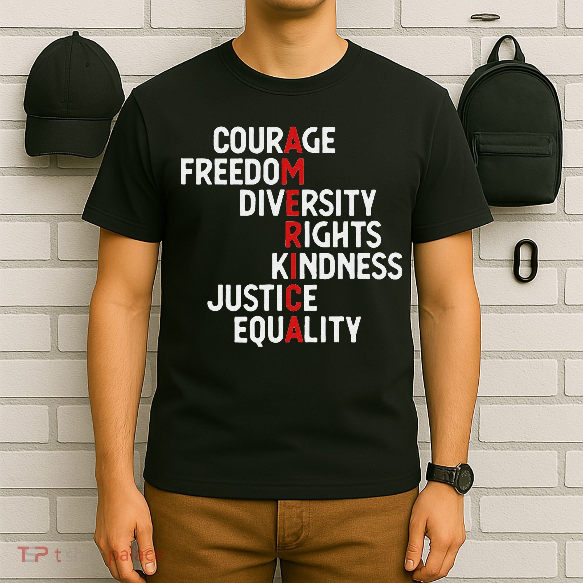 America Courage Freedom Diversity Rights Friendship Justice T-Shirt