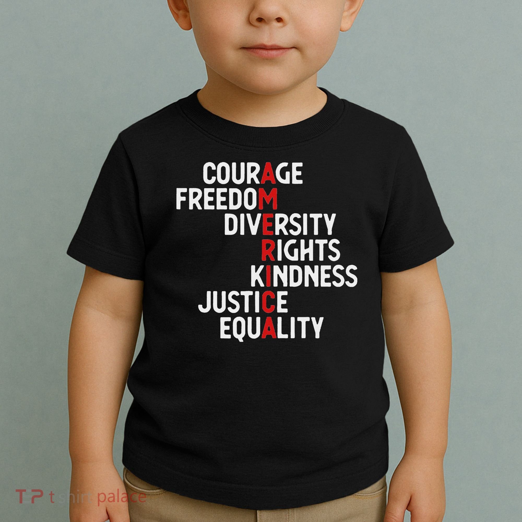 America Courage Freedom Diversity Rights Friendship Justice Toddler T-Shirt