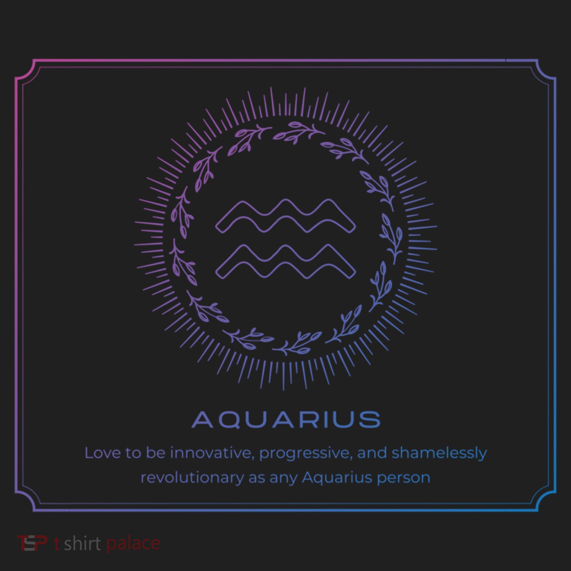 Aquarius Character Gift Hat