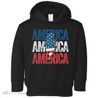 America Cheetah Leopard Lightning Bolt 4th Of July Toddler Hoodie thumb 0