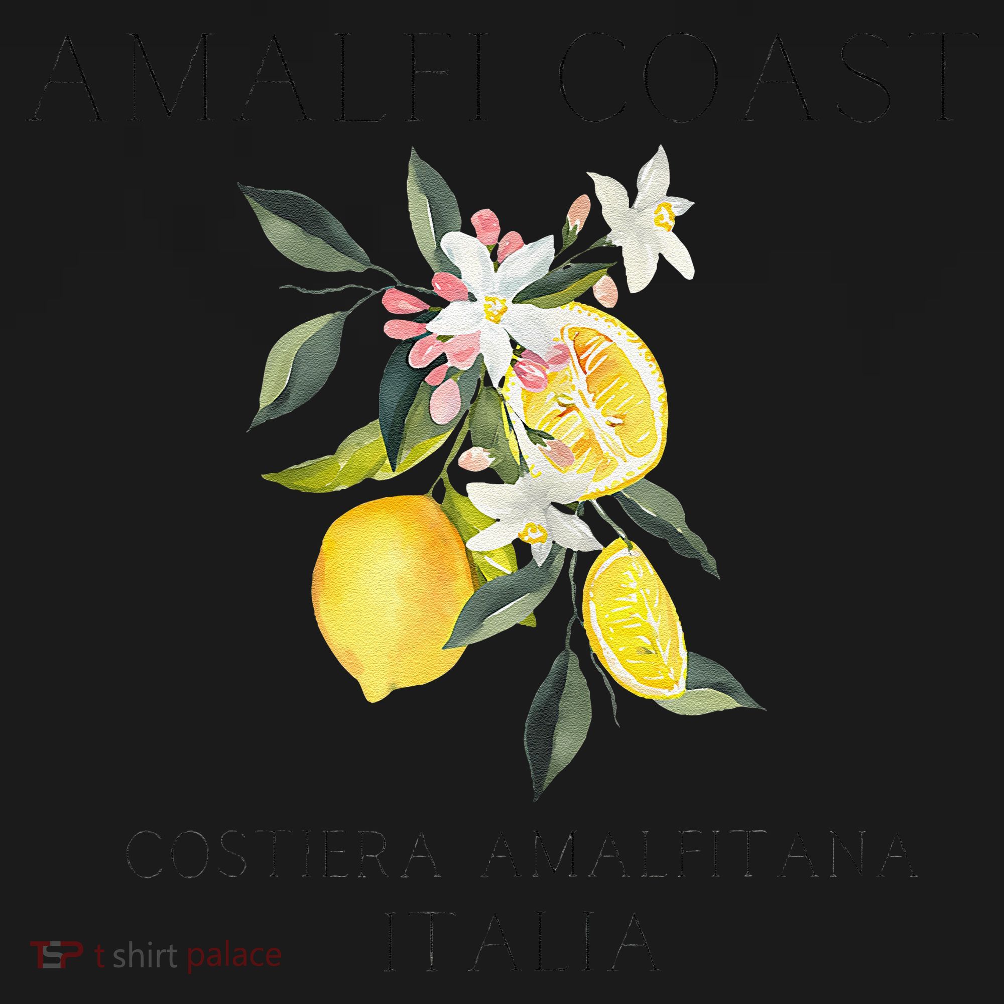 Amalfi Coast Lemons Amalfiana Italy Women's Hoodie