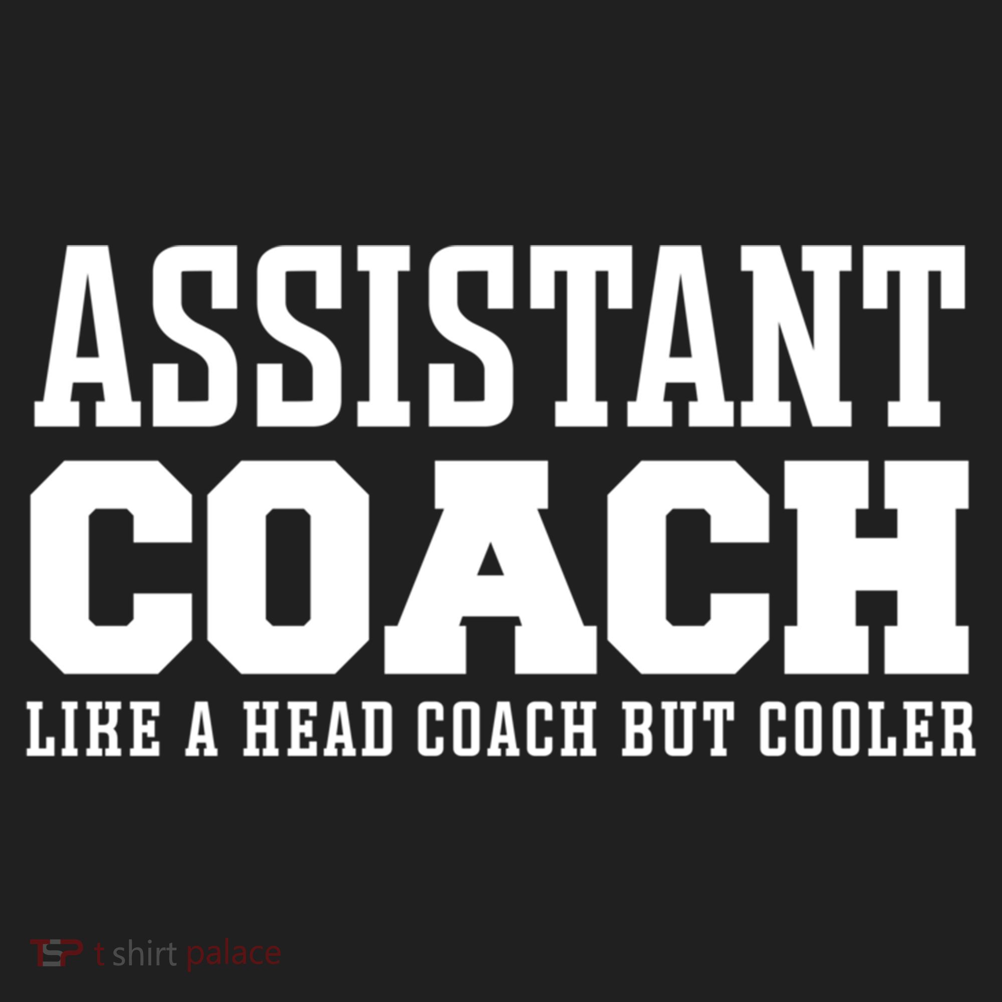 Assistant Coach Like A Head Coach But Cooler Cool Gift Tumbler