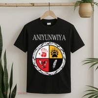 Aniyunwiya Cherokee Nation Native American Medicine Wheel T-Shirt thumb 2