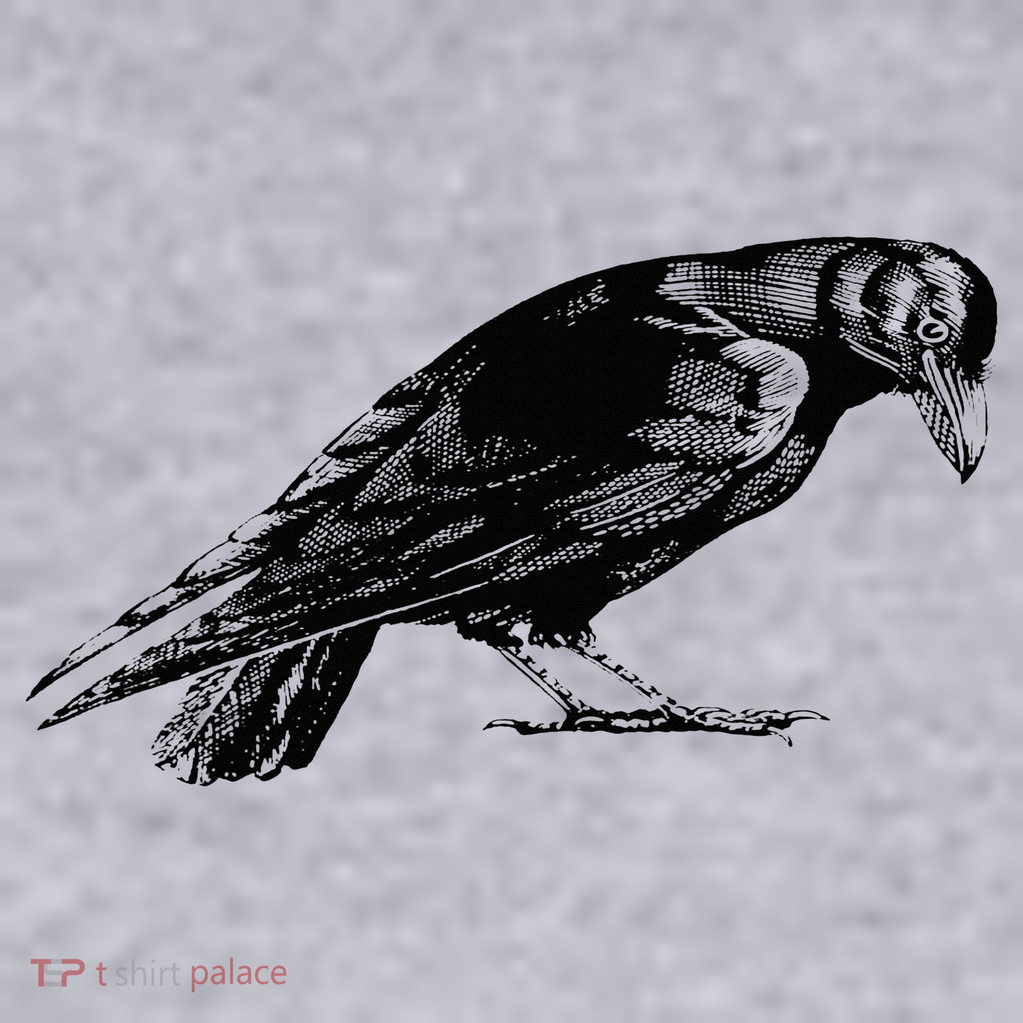 Antique Crow or Raven Women's Sweatshirt