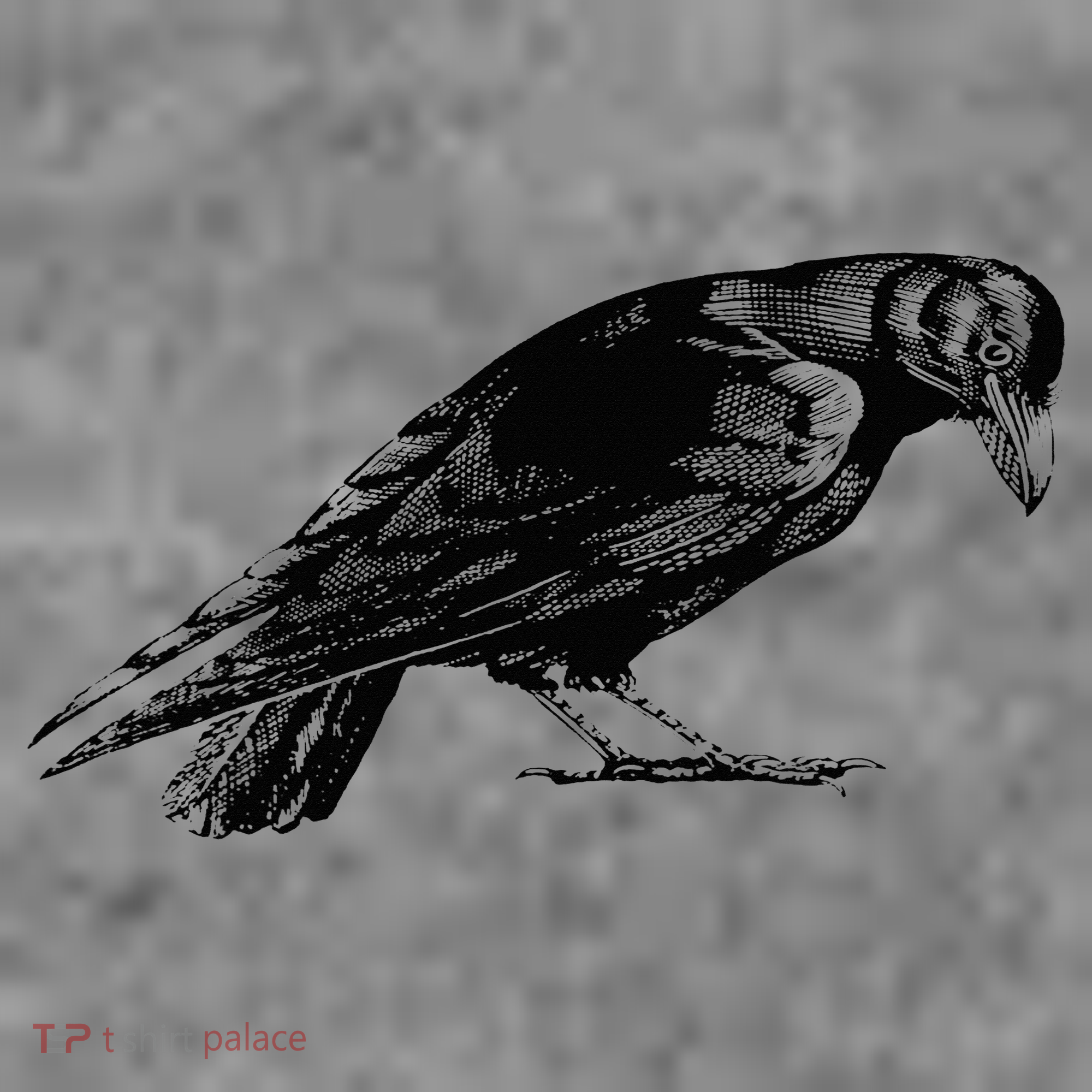 Antique Crow or Raven Toddler Hoodie
