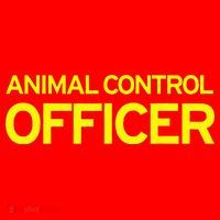 Animal Control Officer Halloween Costume Santa Hat thumb 1