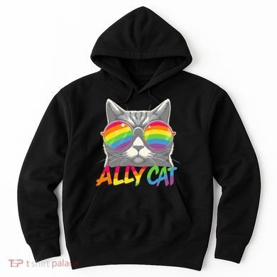 Ally Cat Pride Stuff Flag Lgbt Hoodie