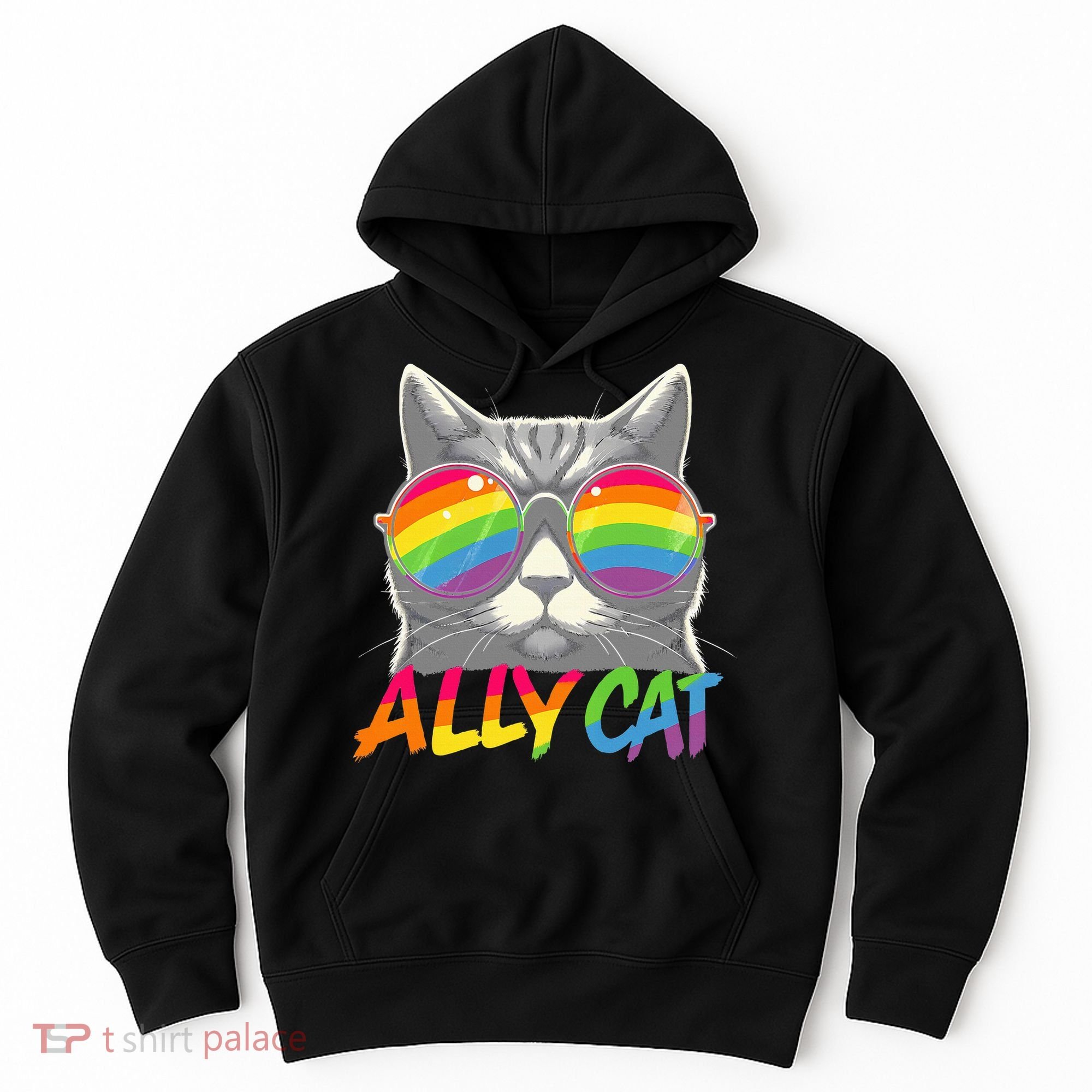 Ally Cat Pride Stuff Flag Lgbt Hoodie