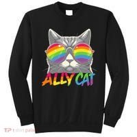 Ally Cat Pride Stuff Flag Lgbt Sweatshirt thumb 0
