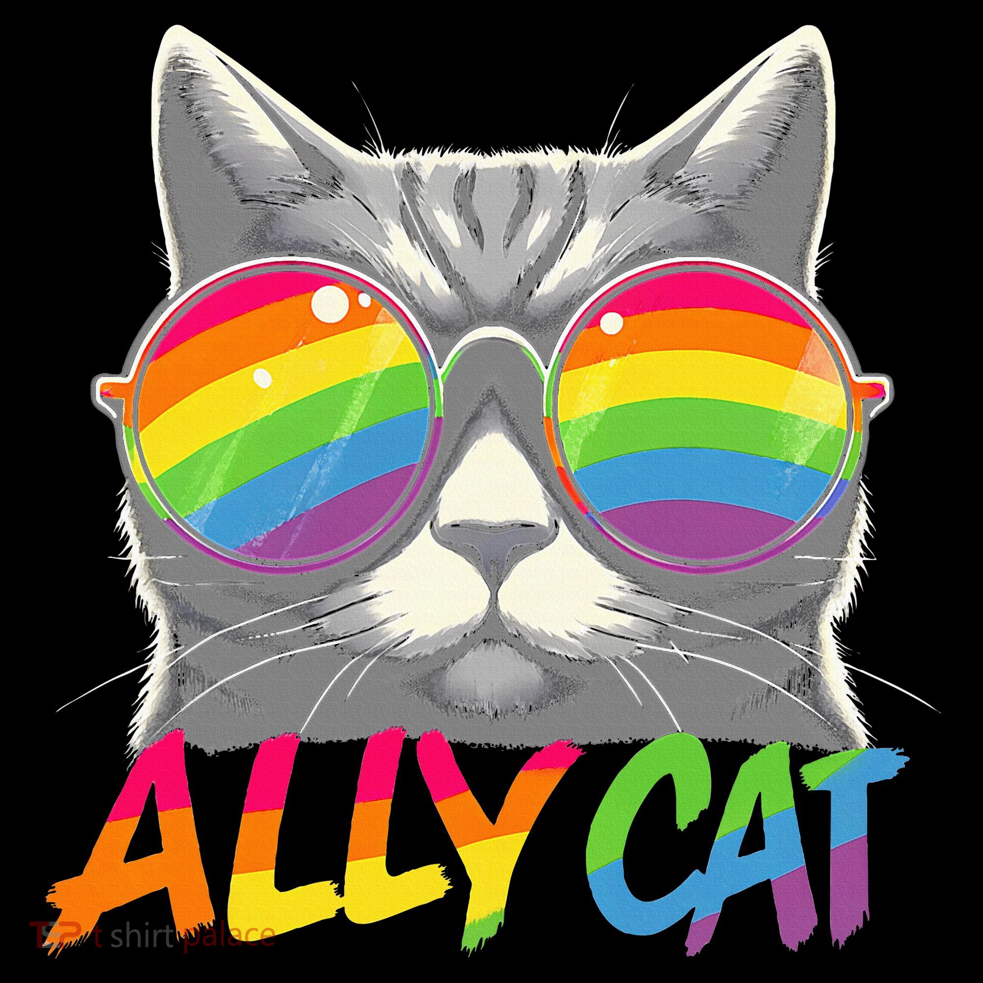 Ally Cat Pride Stuff Flag Lgbt Women's Hoodie