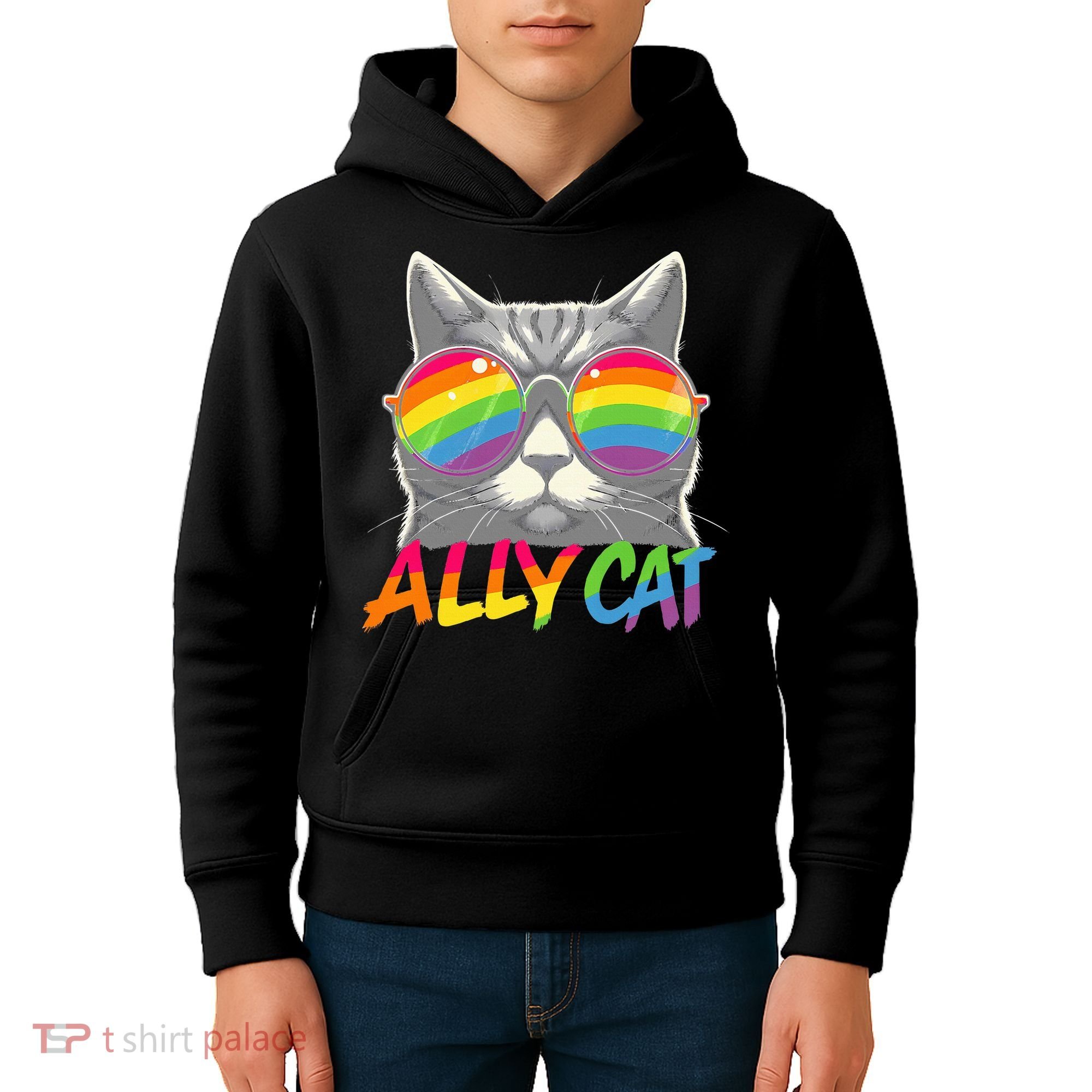 Ally Cat Pride Stuff Flag Lgbt Kids Hoodie