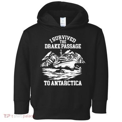 Antarctica Cruise Passage I Survived Antarctica Toddler Hoodie