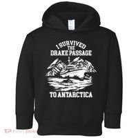 Antarctica Cruise Passage I Survived Antarctica Toddler Hoodie thumb 0