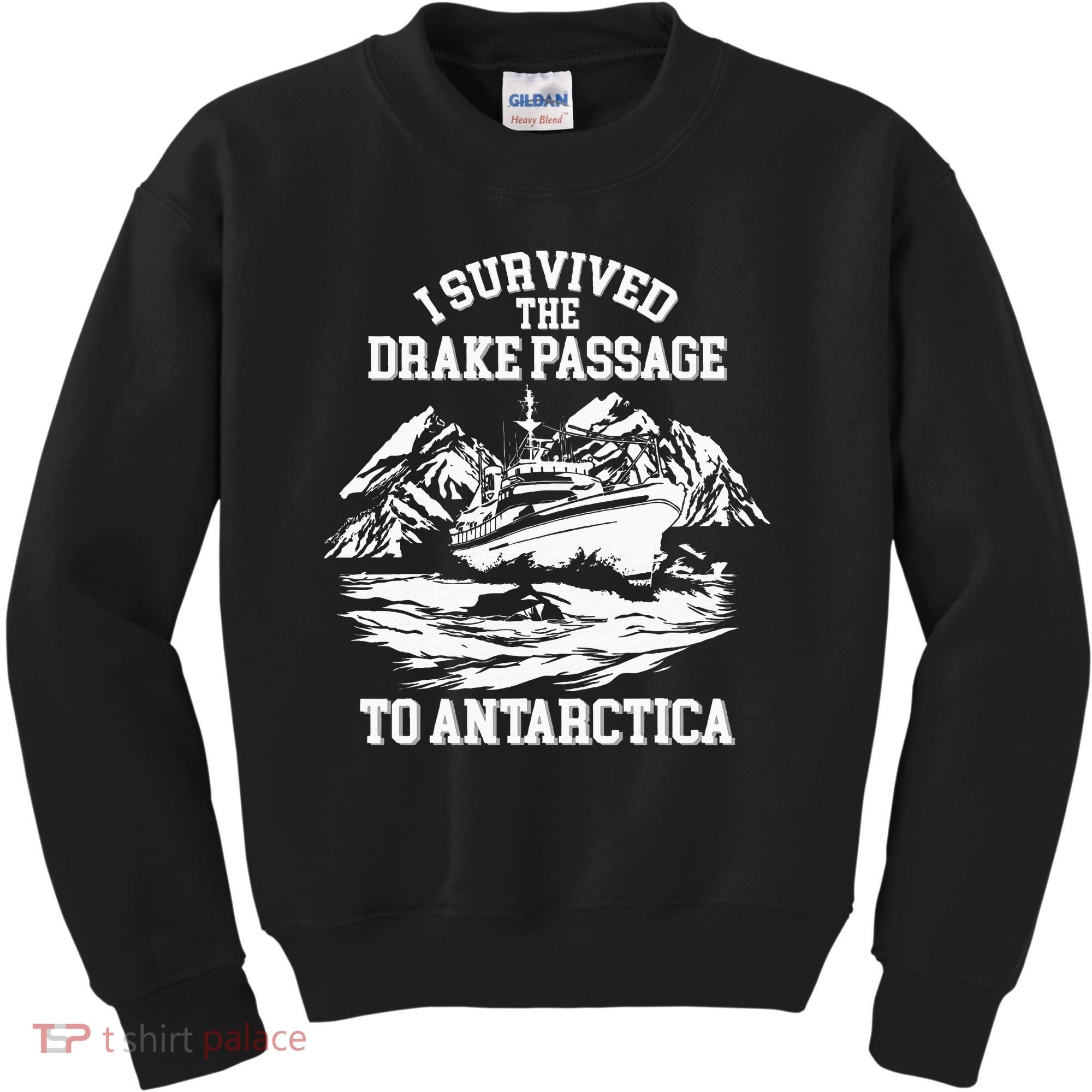 Antarctica Cruise Passage I Survived Antarctica Kids Sweatshirt