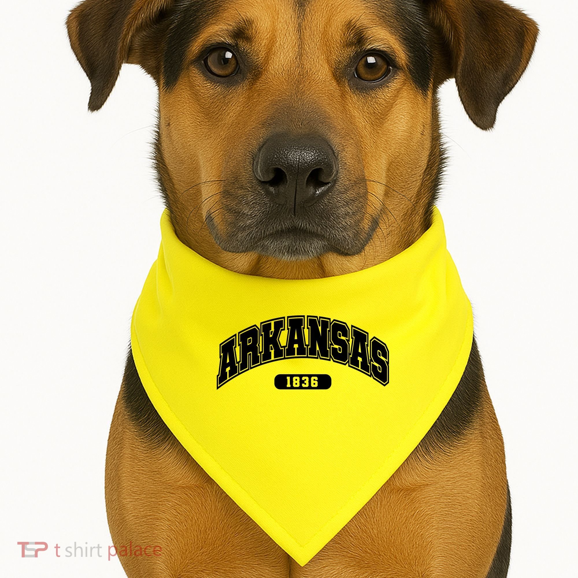 Arkansas Collegiate Style 1836 USA-Made Doggie Bandana