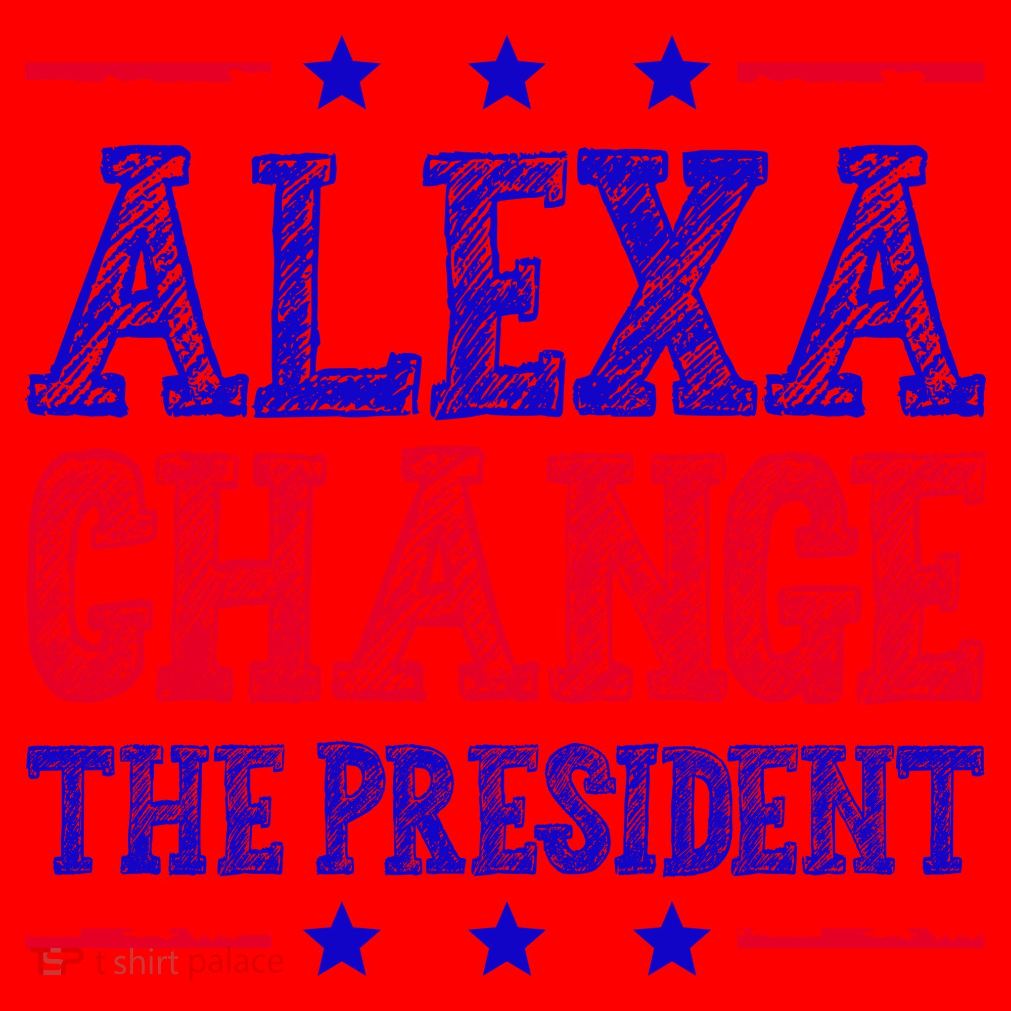 Alexa Change The President Funny Political Santa Hat