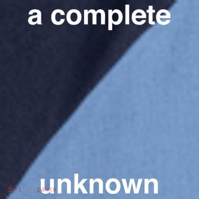 A Complete Unknown..01 Raglan Baseball Sleeve Shirt